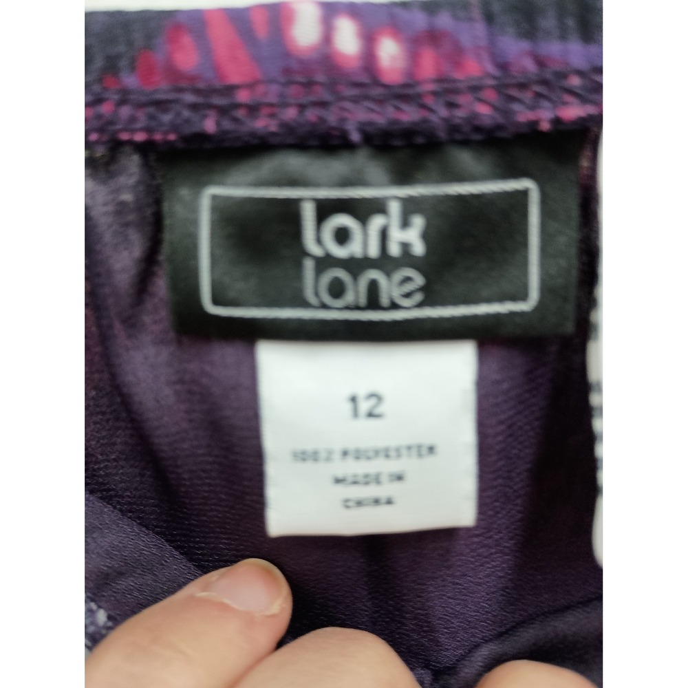 Lark Lane Maxi‎ Skirt Womens 12 Pink Abstract Pleated BOHO Whimsygoth Chiffon - Picture 6 of 11